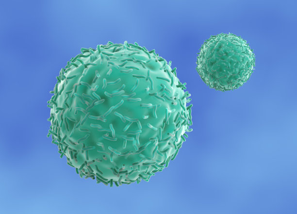 杀手t淋巴球图片下载