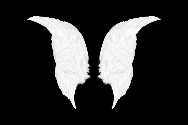 白色翅膀孤立在黑色背景图片下载