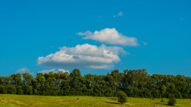 云和草地上有森林。图片下载