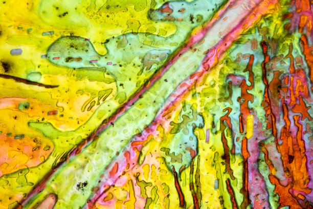 酸盐微晶核图片下载