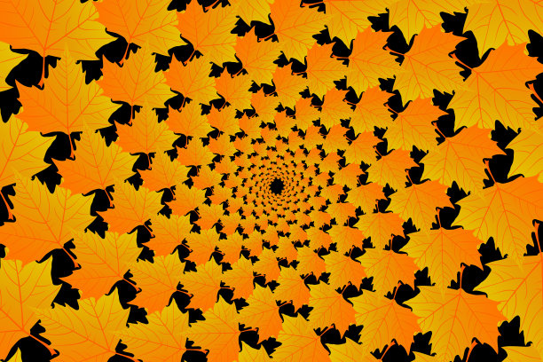 金色的梧桐树叶子在黑色的背景图片下载