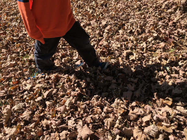 秋天走图片下载