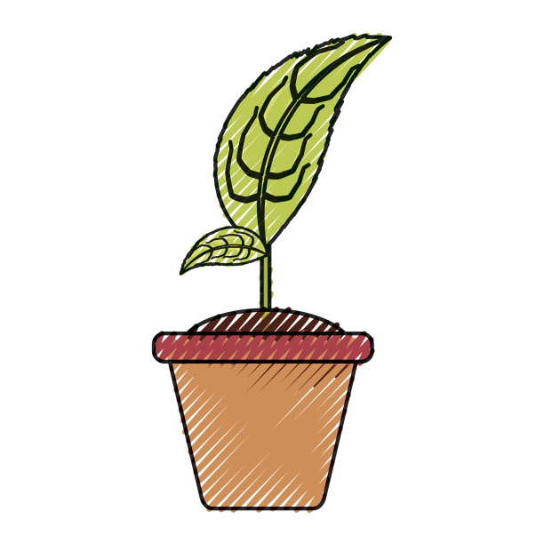 在锅里图片下载