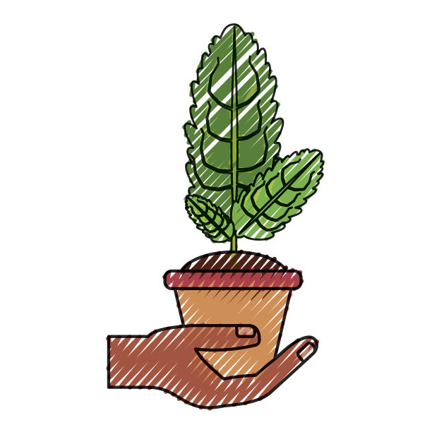 在锅里图片下载