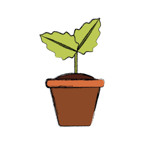 在锅里图片下载