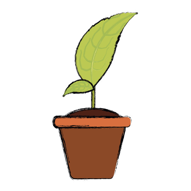 在锅里图片下载