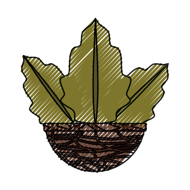 在锅里图片下载