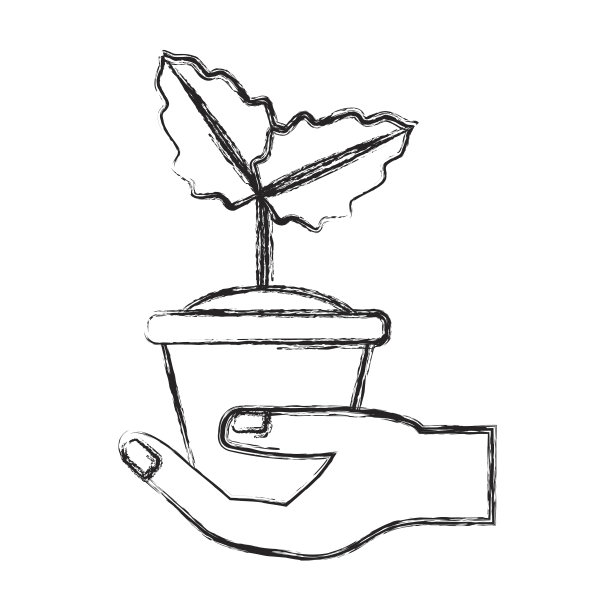 在锅里图片下载