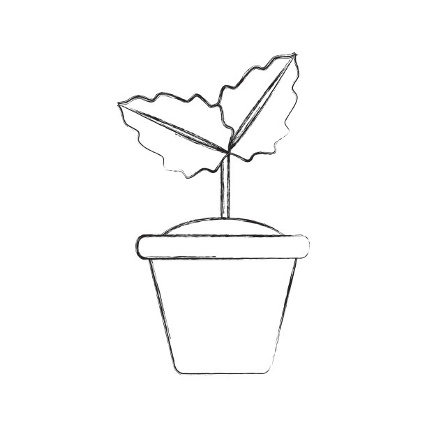 在锅里图片下载