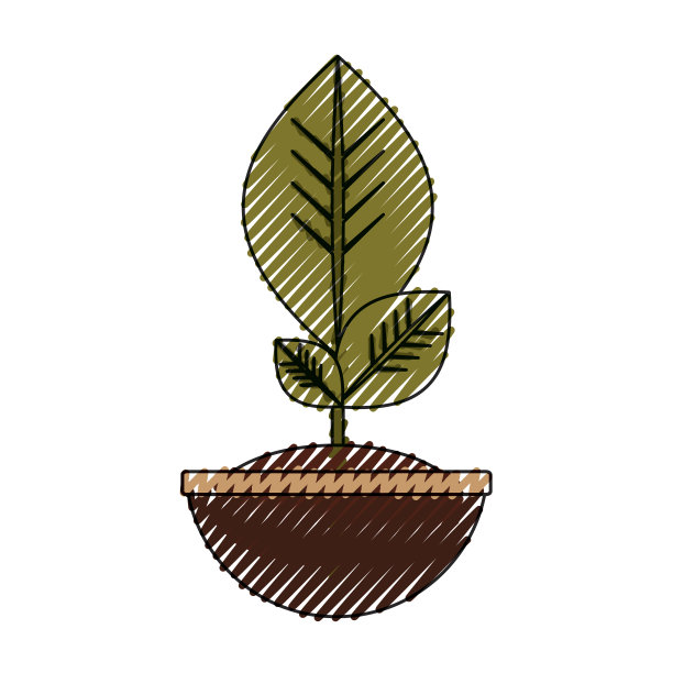 在锅里图片下载