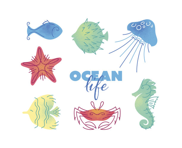 海洋生物彩色平面插图。孤立的图标，海洋和海洋生物。图片下载