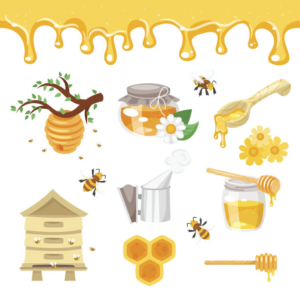养蜂和蜂蜜插图素材图片
