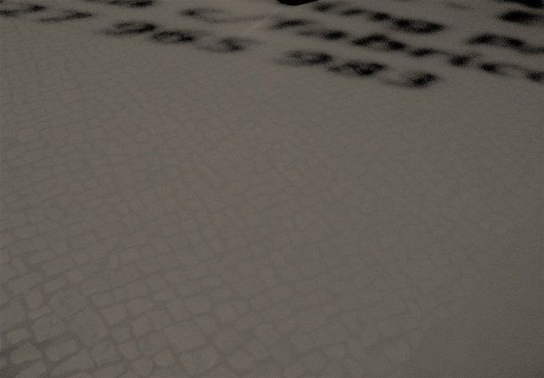 沙漠中的脚印图片下载