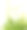 芥菜植物开花。野生芥菜花。图片下载