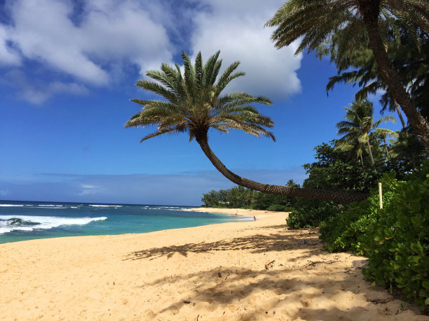夏威夷欧胡岛图片下载