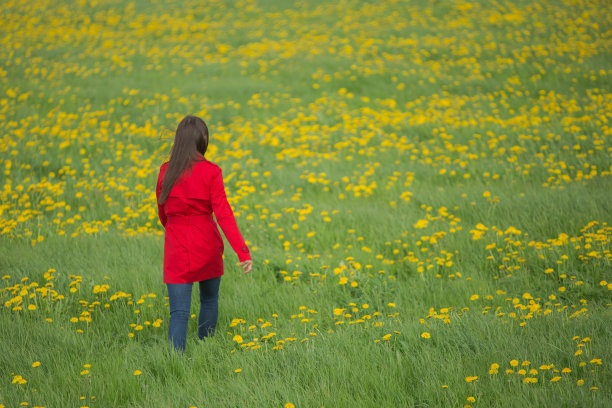 蒲公英田里的女人图片下载