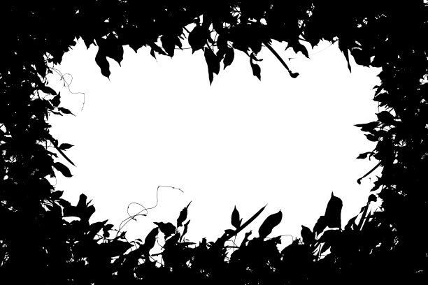 抽象的黑色叶子框架上的白色背景图片下载