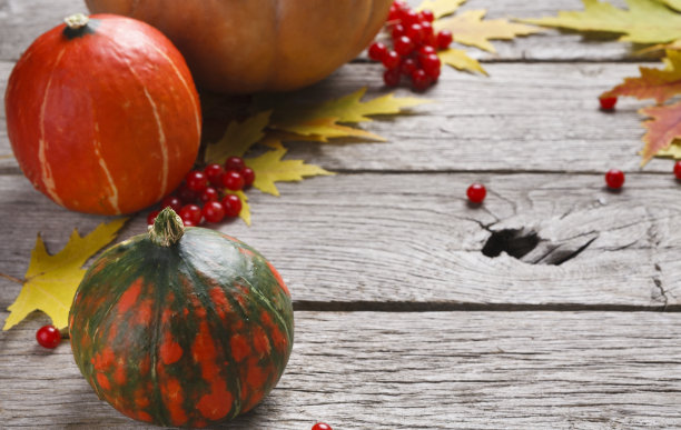 秋天的干花在白木上，背景图片下载