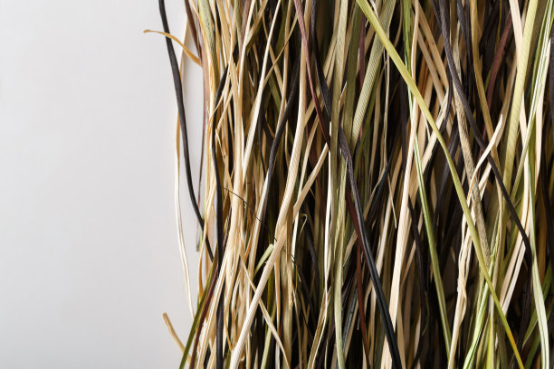 干草纹理背景特写图片下载