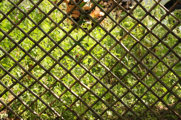 竹格子图片下载