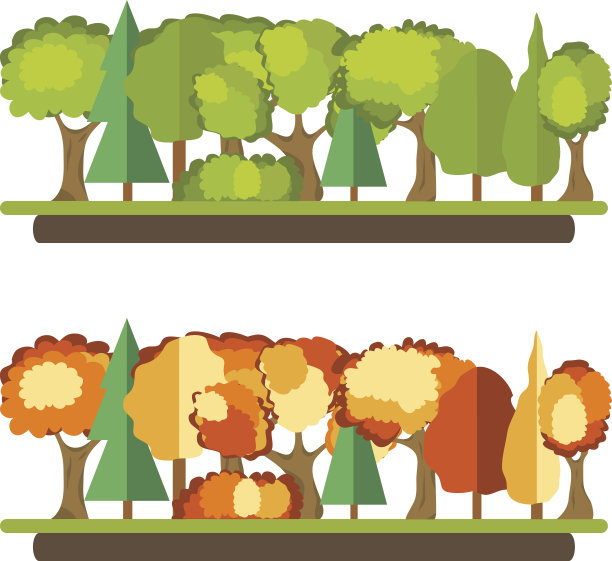 绿色的森林，秋天的森林，树叶图片下载