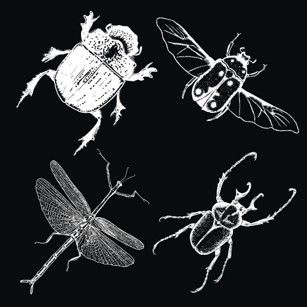 昆虫点画集孤立。昆虫和虫子集合在时髦的刺绣点画和孵化，阴影风格。向量。图片下载