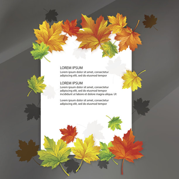 白色的空白点缀着五颜六色的秋天枫叶。图片下载