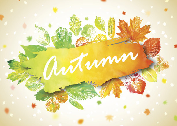 秋天的季节横幅，海报。贺卡文字和手绘水彩秋天的树叶。素材图片