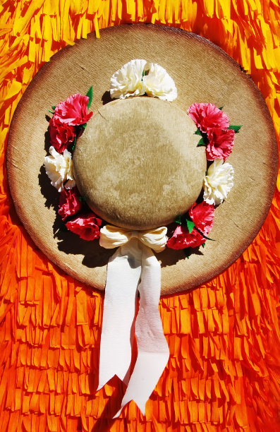 有白丝带和花的帽子图片下载