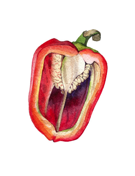 水彩辣椒素材图片