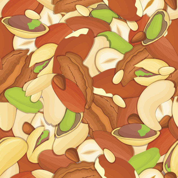 向量无缝背景的腰果，巴西坚果，核桃，榛子，花生，开心果，杏仁坚果上的白色图案。坚果元素包装设计，宣传册健康饮食图片下载