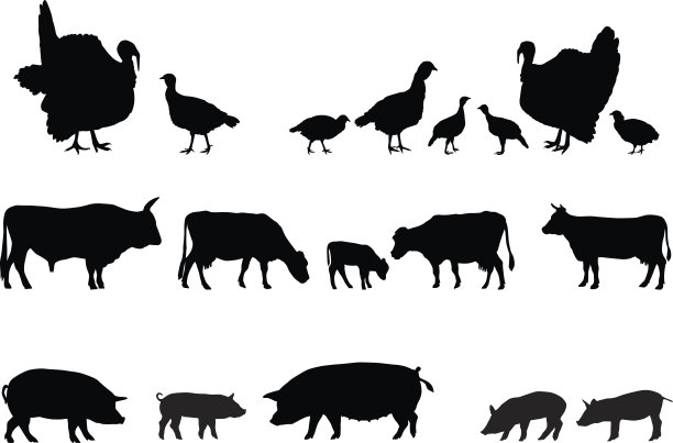 农场动物的剪影图片下载