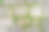 以绿草植物为纹理或背景的砖砌石地板图片下载