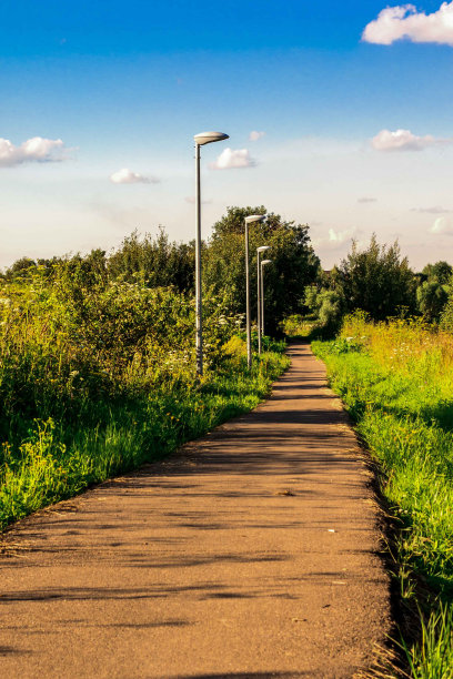 公园里的小路通向远方，蓝天绿茵茵的草地。法纳利沿着路走到远处。美丽的风景。图片下载