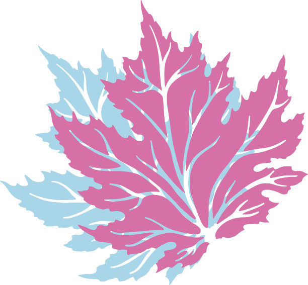 感恩节快乐图片下载