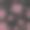 黑莓牡丹传统无缝刺绣图案。图片下载