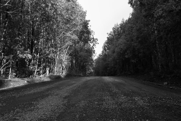 树木间石林路图片下载