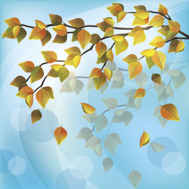 秋树，淡自然背景图片下载