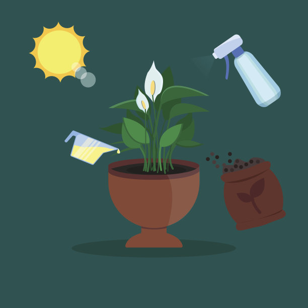 向量室内植物生长和护理信息图。用阳光和植物作插图。平面风格。图片下载