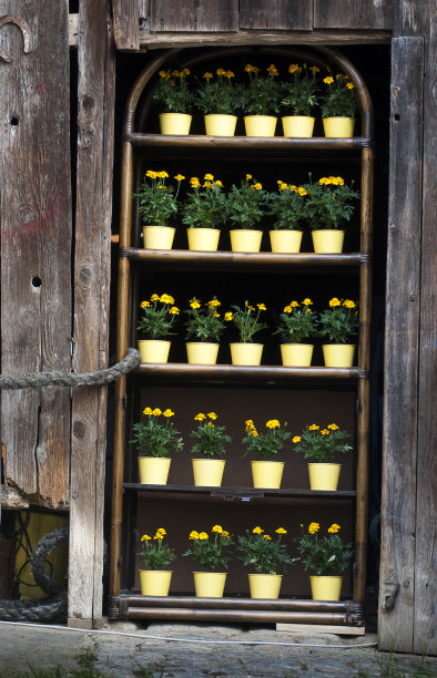 用花架代替谷仓门图片下载