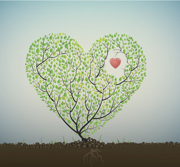 夏夜的梦想图片下载