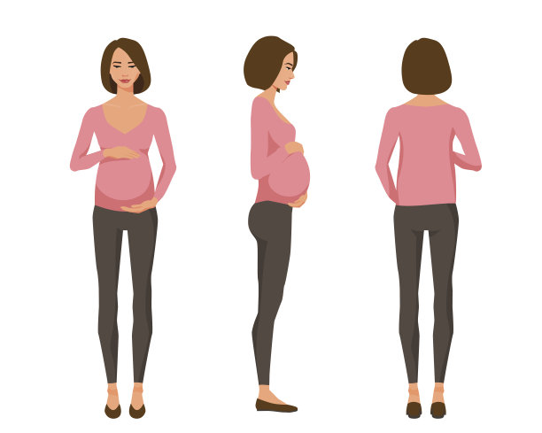 矢量插图的三个孕妇在白色的背景下休闲衣服。卡通人物写实插画。平坦的年轻女子。前视图女孩，侧视图女孩，后视图女孩图片下载