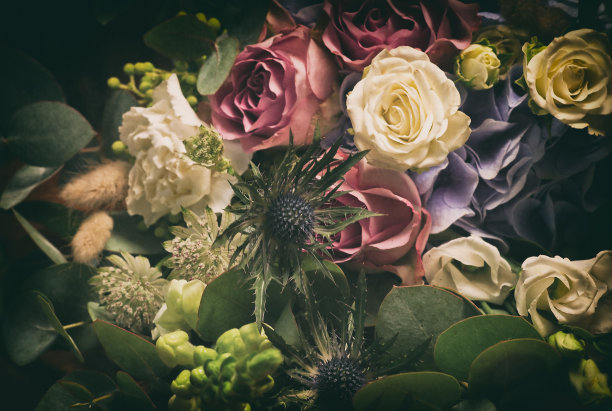 玫瑰和杏的花束图片下载