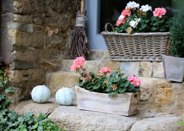 庭院花卉装饰图片下载