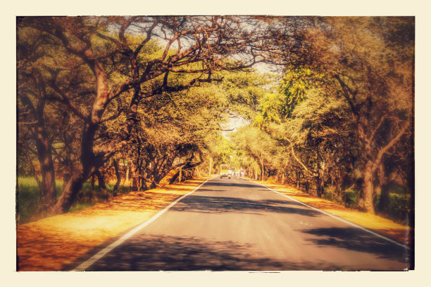 伟大的冒险图片下载