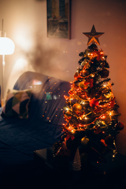 圣诞树照亮图片下载