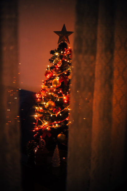 圣诞树照亮图片下载