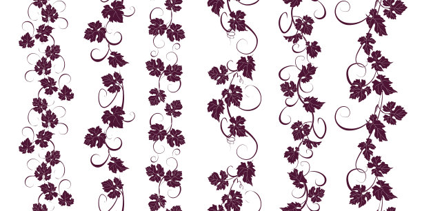 一套无缝的装饰葡萄藤。图片下载