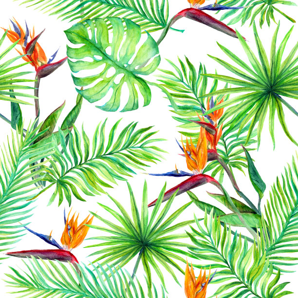 热带的叶子，奇异的花朵。无缝的丛林模式。水彩素材图片