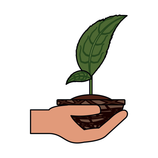 在锅里图片下载